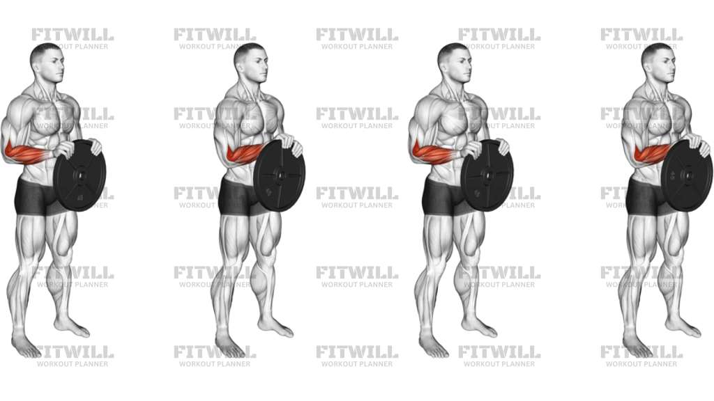 Weighted Plate Standing Hands Torsion