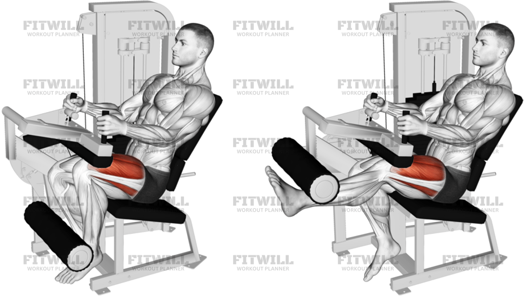 Lever Seated Leg Extension Version 2