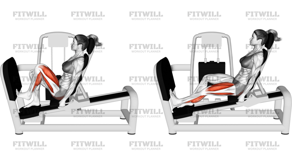 Lever Seated Single Leg Squat Calf Raise On Leg Press Machine