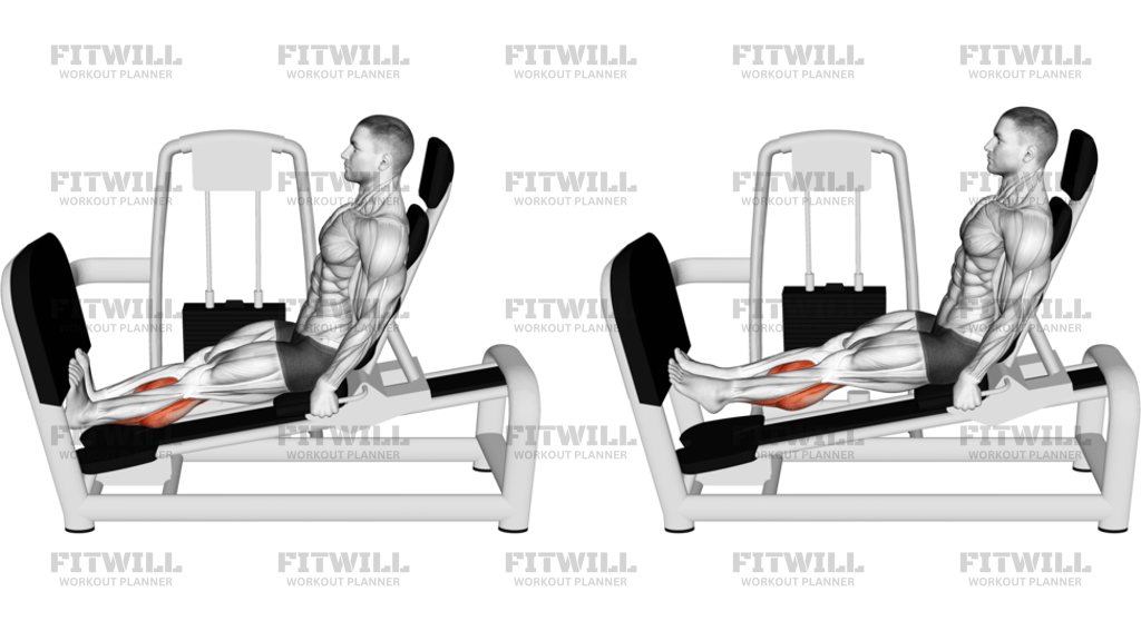 Lever Seated Calf Press