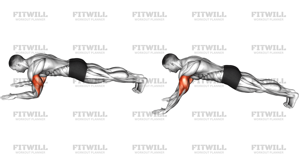 Sphinx Push Up