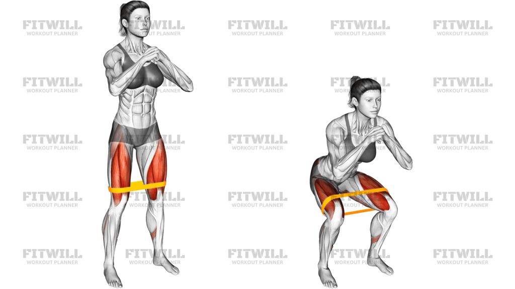 Resistance Band Squat