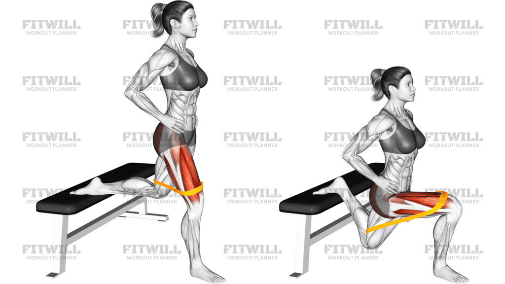 Resistance Band Bulgarian Squat