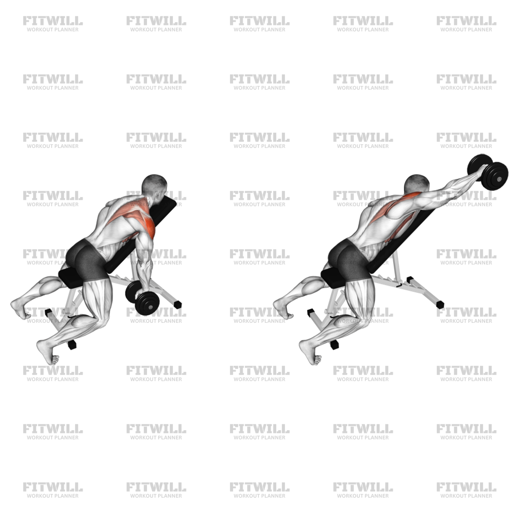Dumbbell y raise hotsell