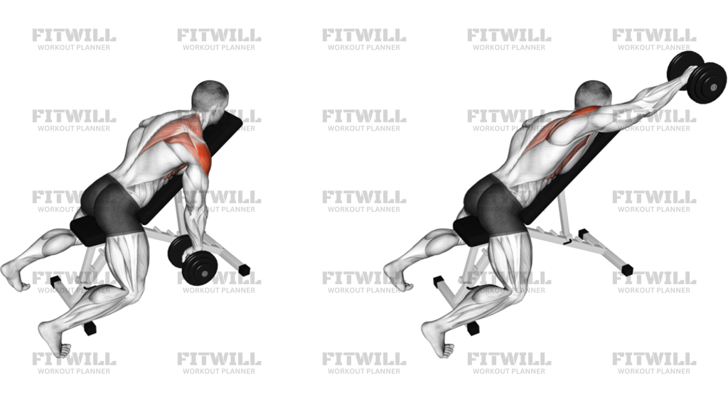Dumbbell Incline Single-Arm Y Raise