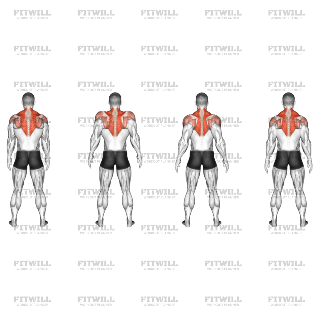 Standing Scapular Rotation: Exercise Guide, Video, Techniques, Benefits ...