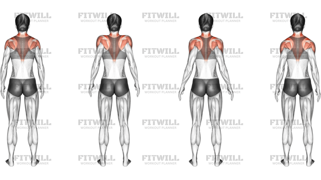 Standing Scapular Rotation