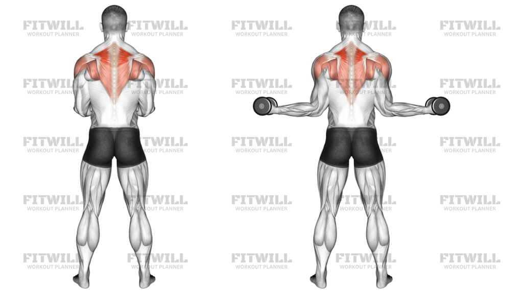 Dumbbell Standing Scapular External Rotation