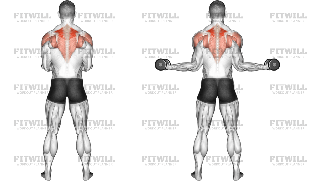 Dumbbell Standing Scapular External Rotation