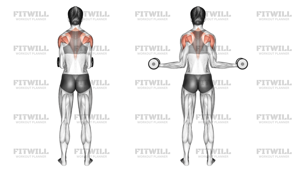 Dumbbell Standing Scapular External Rotation: Exercise Video | Fitwill