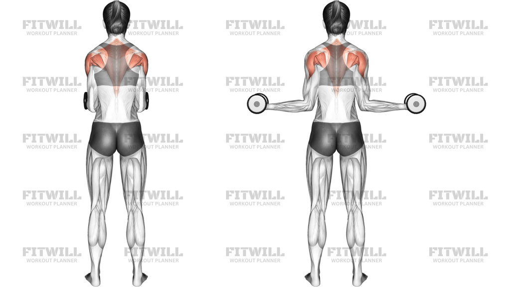 Dumbbell Standing Scapular External Rotation
