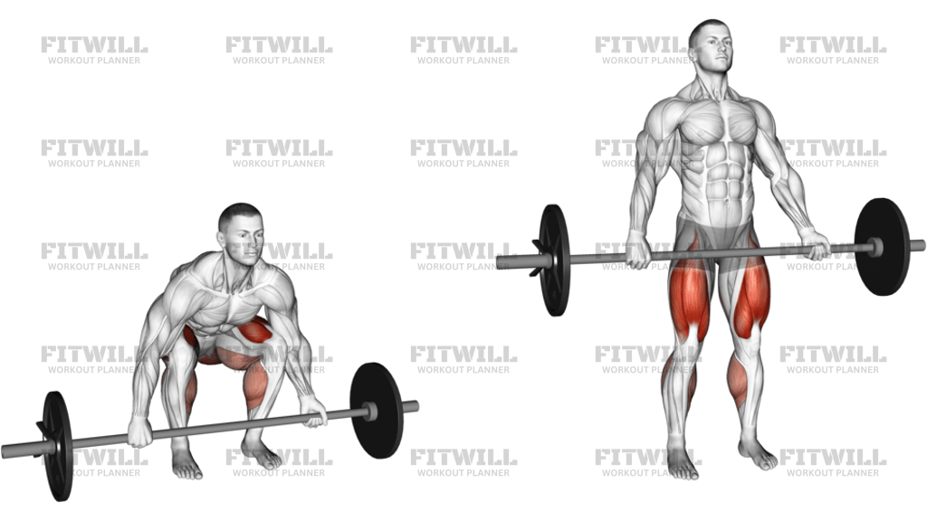 Barbell Mixed-Grip Deadlift