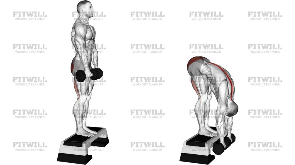 Dumbbell Jefferson Curl