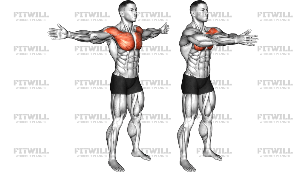 Bodyweight Standing Straight Arm Chest Fly