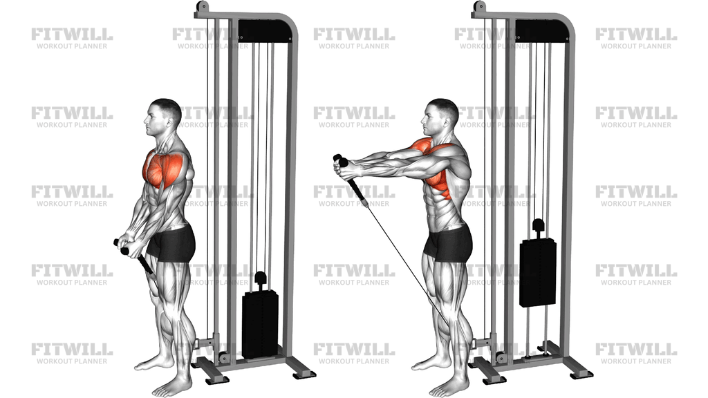 Cable Front Raise (Rope Attachment)