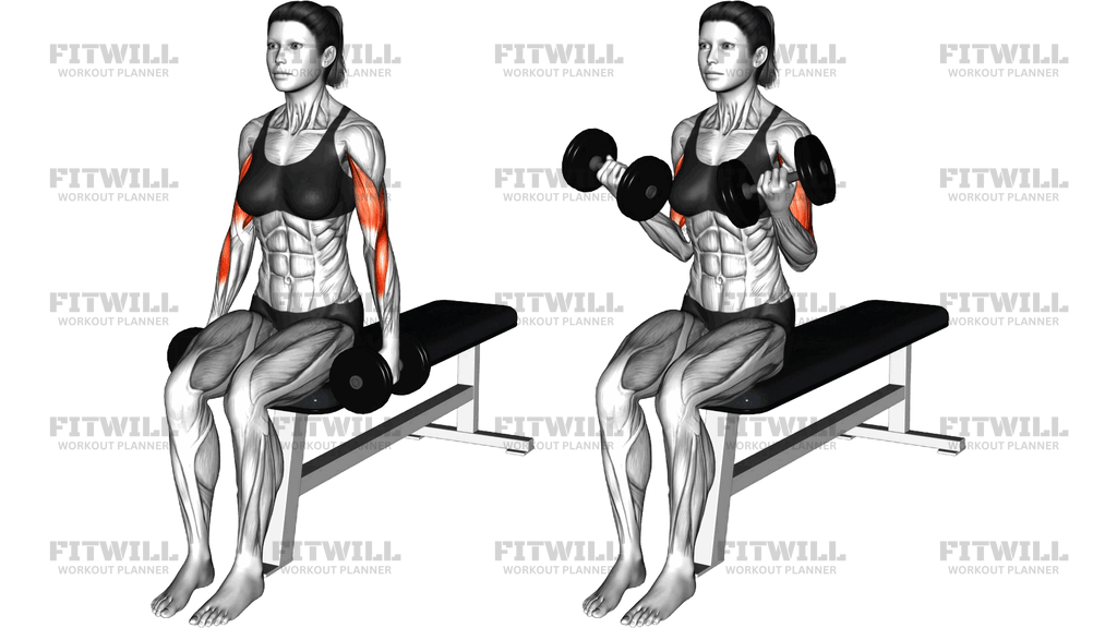 Dumbbell Seated Curl