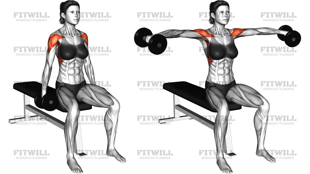 Dumbbell Seated Lateral Raise