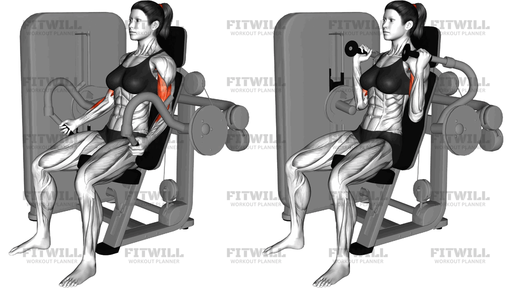 Lever Biceps Curl