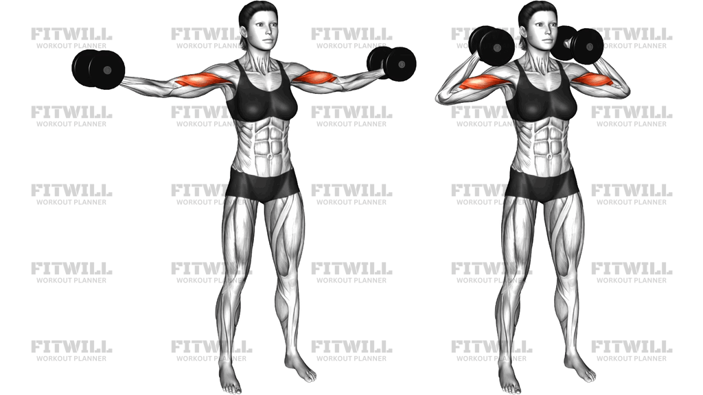 Dumbbell High Curl