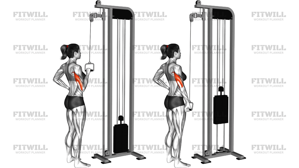 Cable One Arm Tricep Pushdown