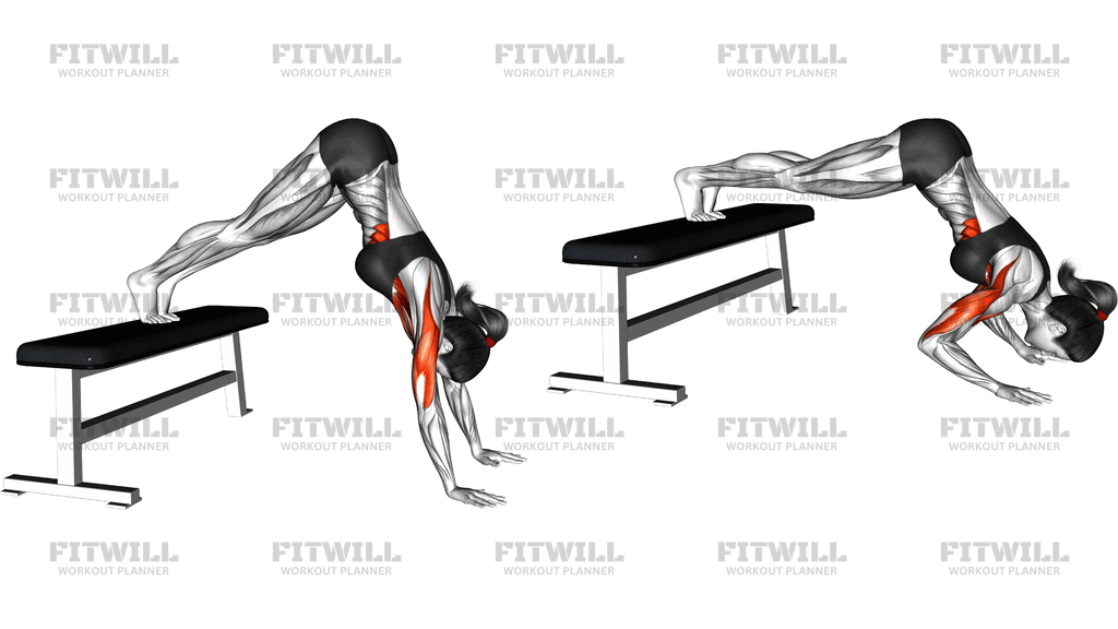 Pike Push Up (On Bench) (Version 2)