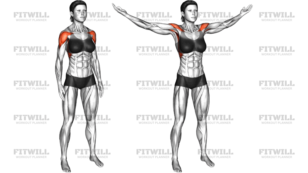 Mid Air Lateral Raises With Switching Palms