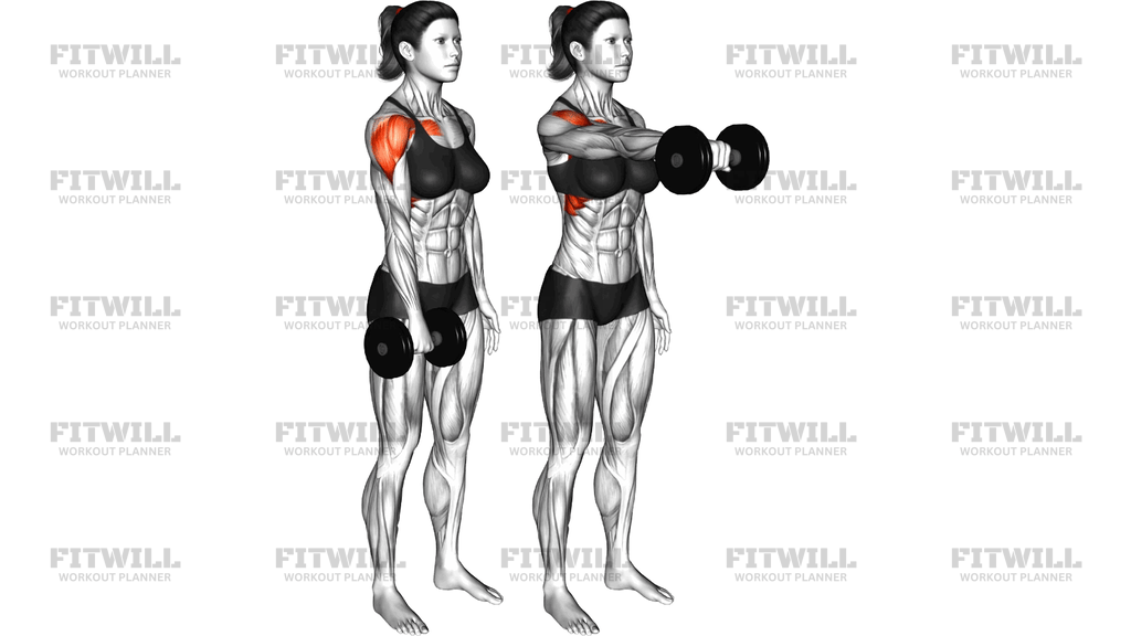 Dumbbell One Arm Front Raise