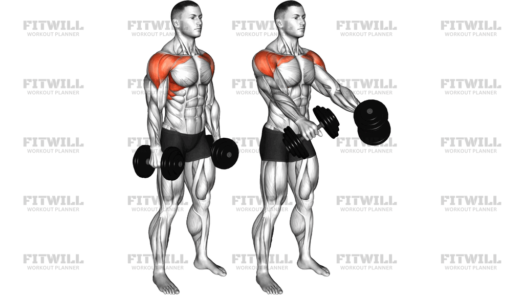 Dumbbell Standing Front And Lateral Raise