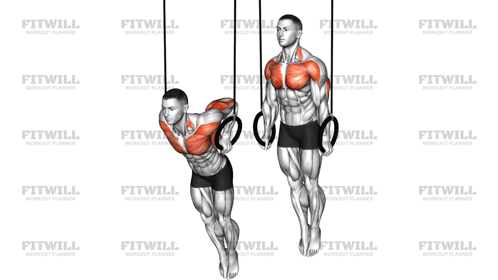 Ring Support Hold