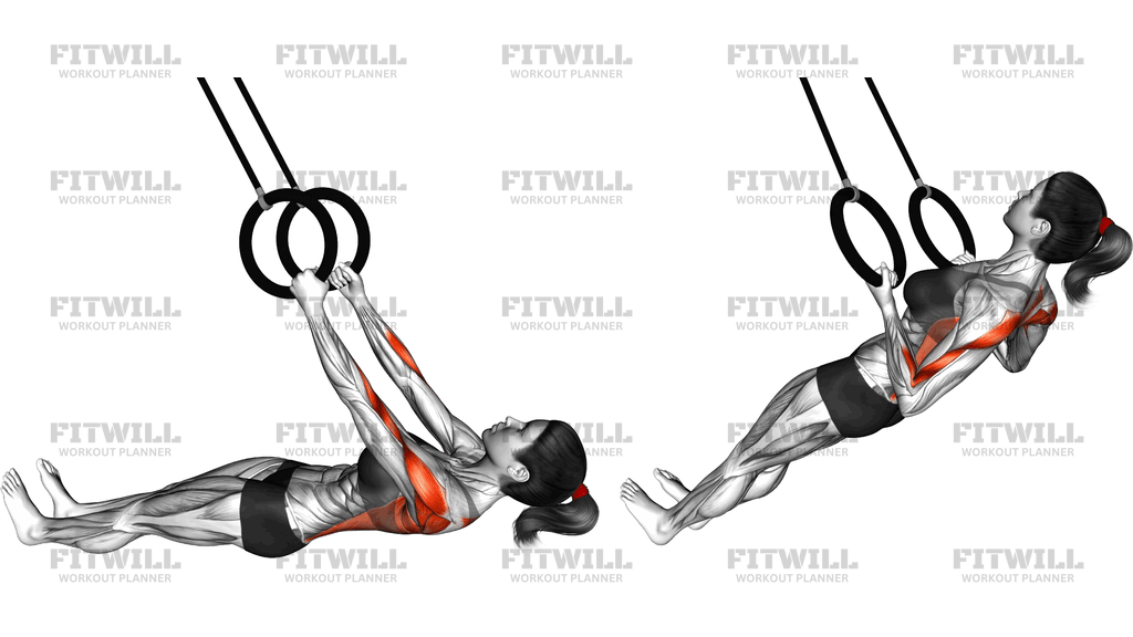 Ring Inverted Row