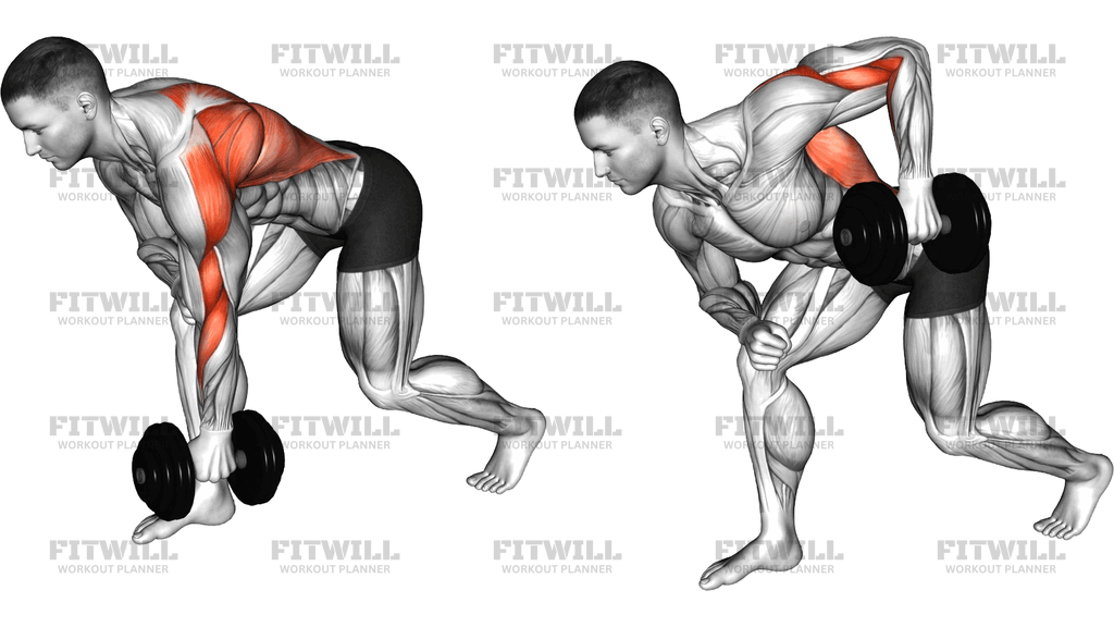 Dumbbell Split Stance Bent Over Row