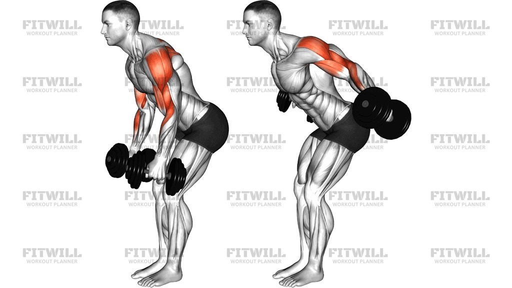 Dumbbell Bent Over Reverse Fly To Hammer Curl
