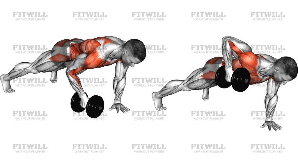 Dumbbell Plank Row