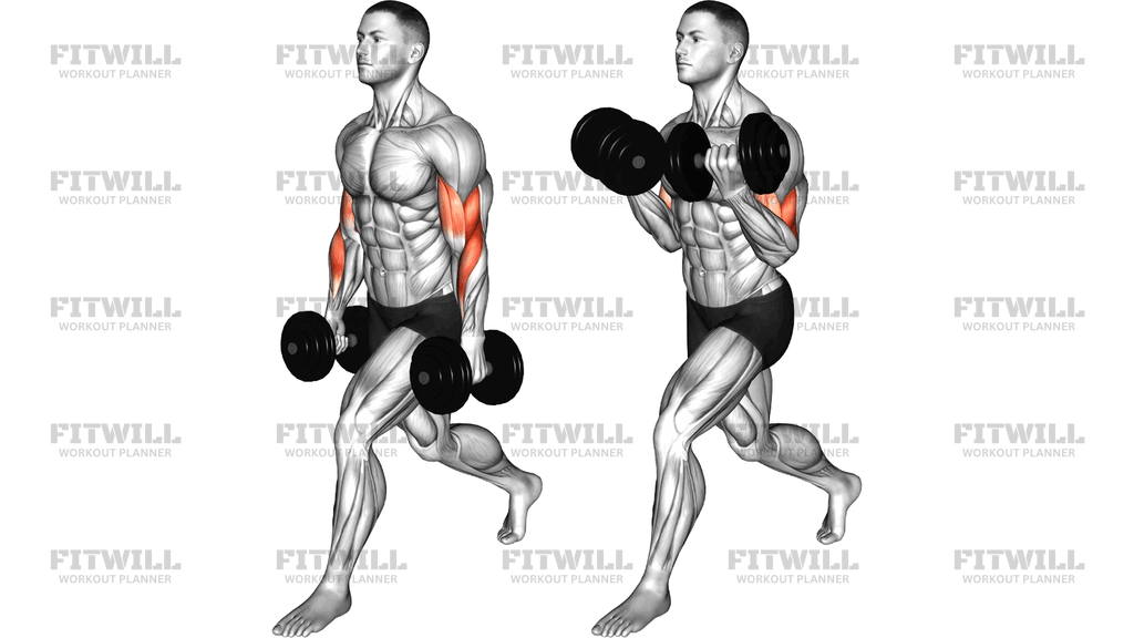 Dumbbell Split Stance Biceps Curl