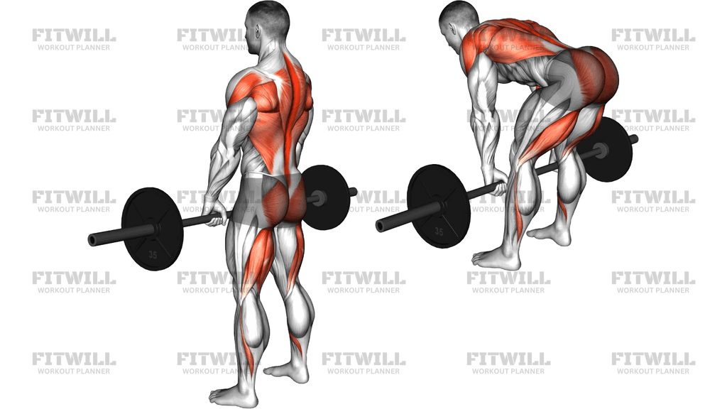 Barbell Romanian Deadlift To Row