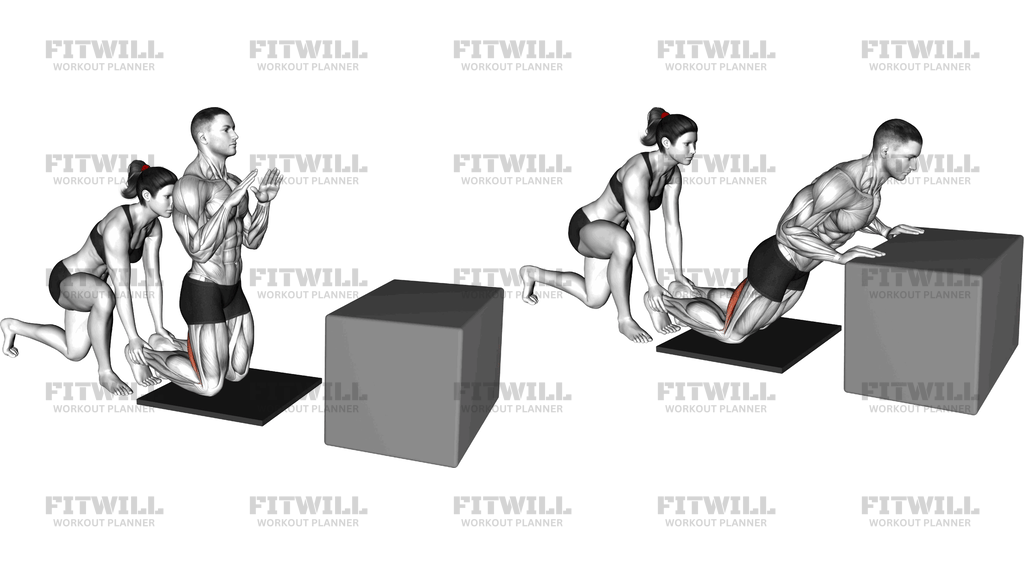 Assisted Partial Range Inverse Leg Curl