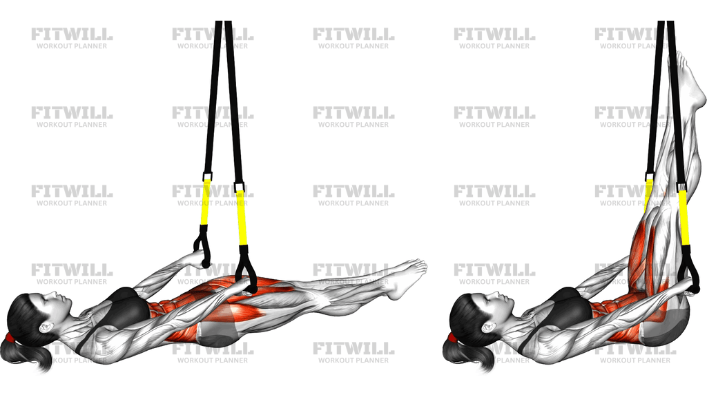 Suspender Lying Leg Raise