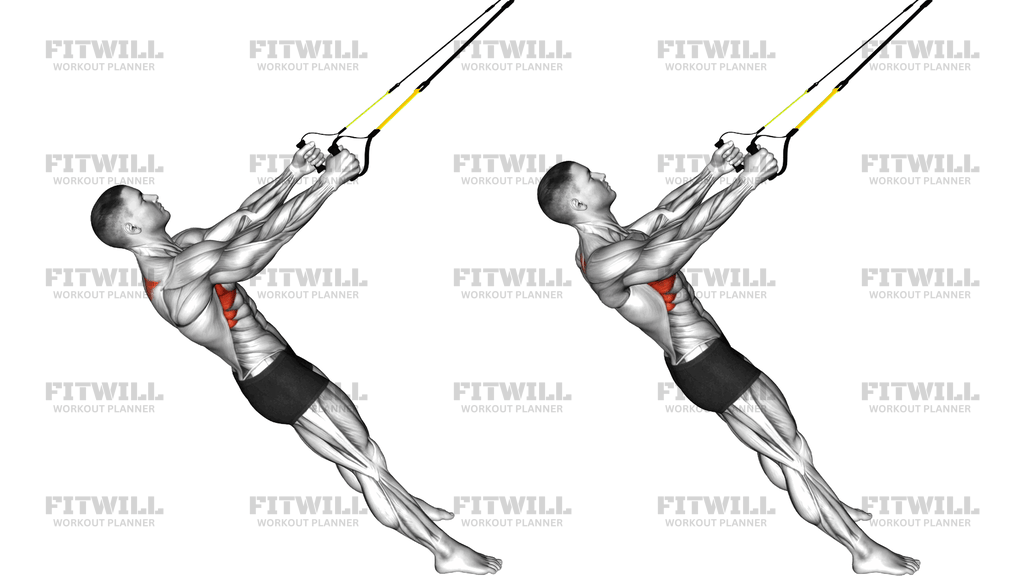 Suspender Scapular Retraction