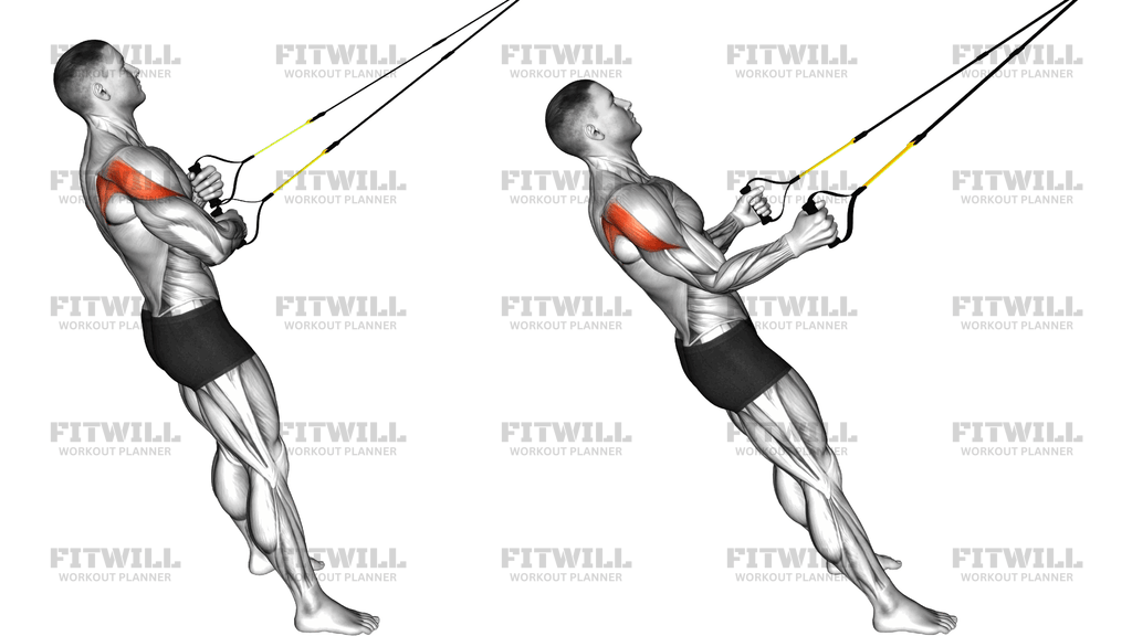 Suspender External Rotation