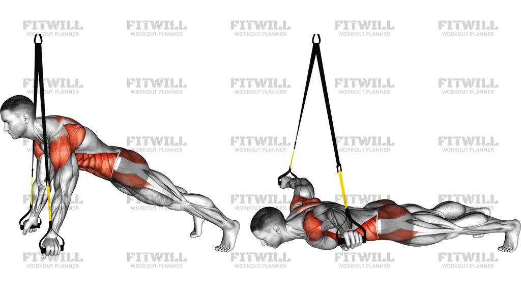 Suspender Prone Ts