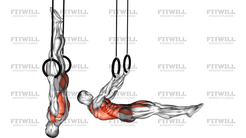 Ring Front Lever