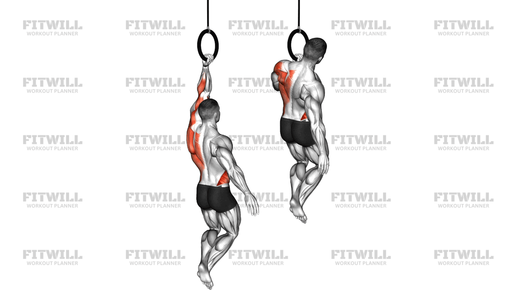 Ring One Arm Pull Up