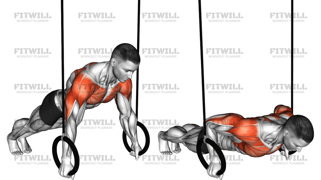 Ring Russian Push Up