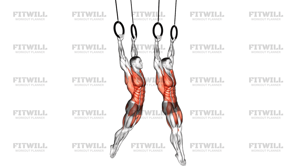 Ring Swing