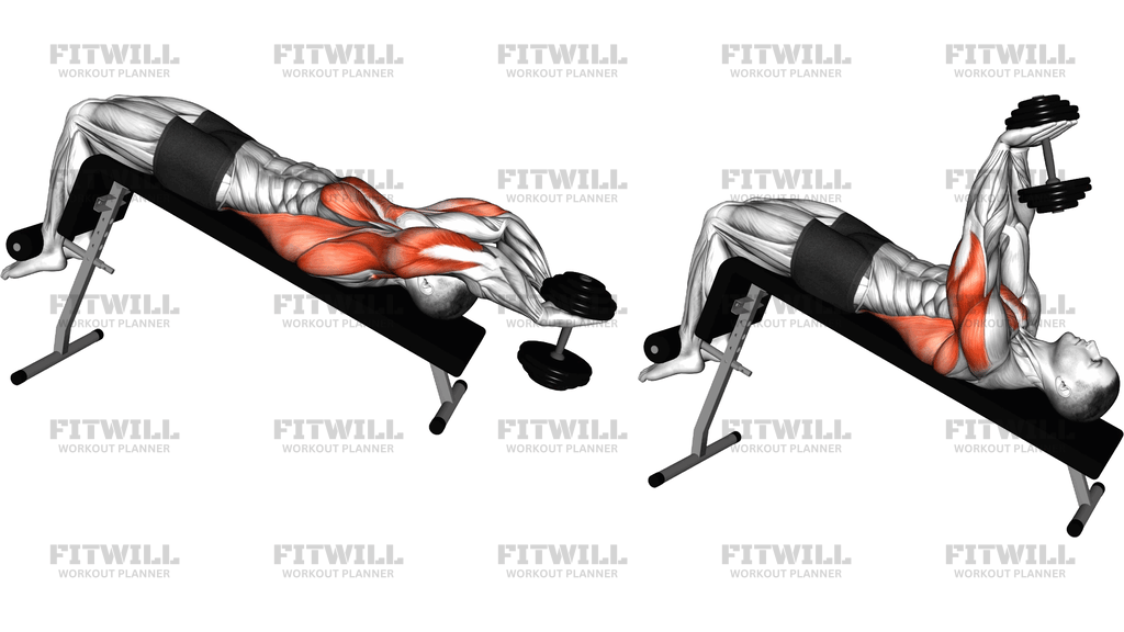Dumbbell Decline Pullover