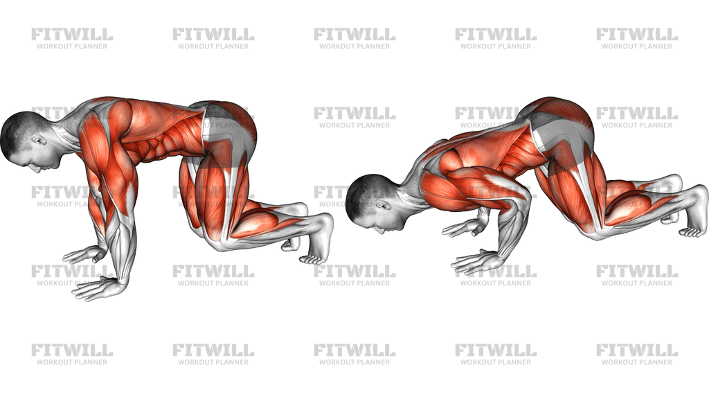 Bear Push Up
