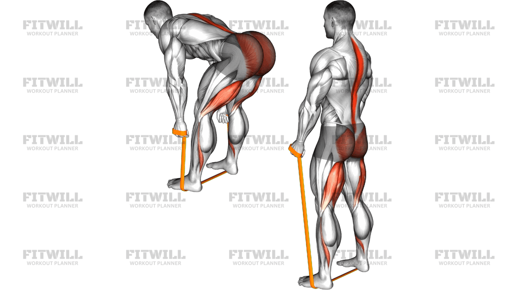 Resistance Band Romanian Deadlift