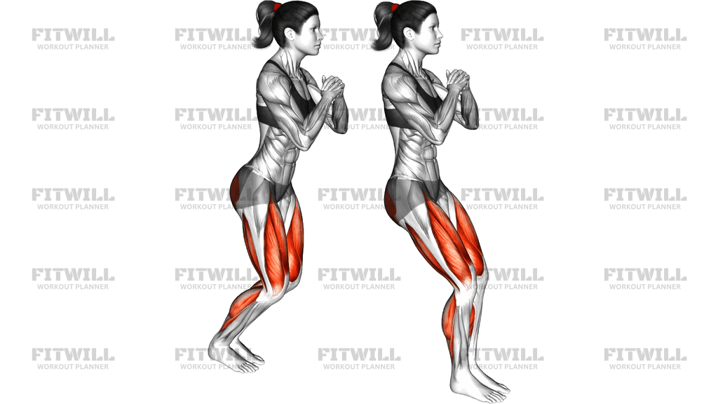Forward Backward Hop