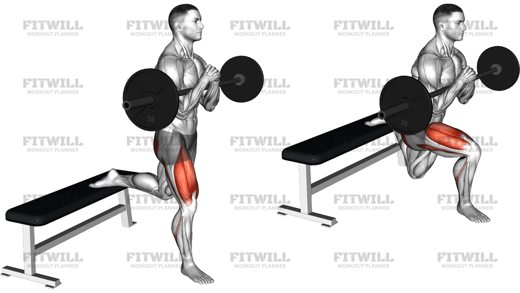 Barbell Zercher Bulgarian Split Squat