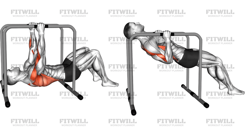 Parallel Bars Bent Knee Inverted Row